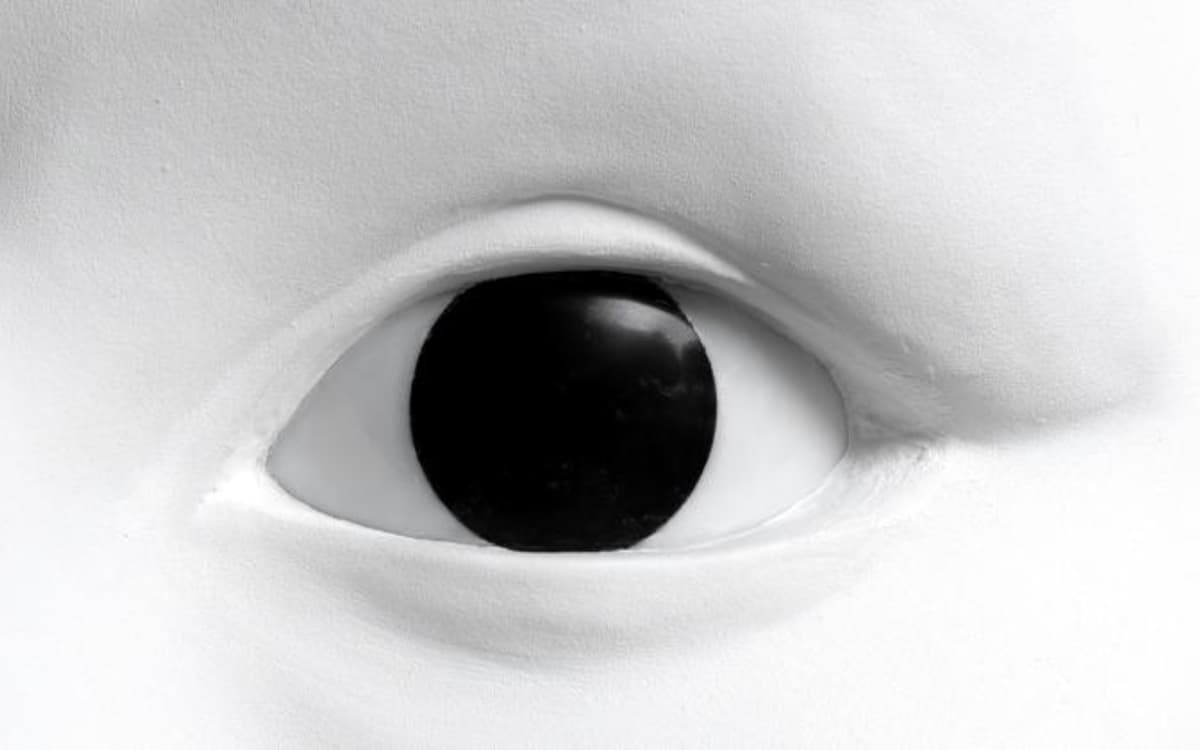 Visionnaires. Carte blanche à Prune Nourry