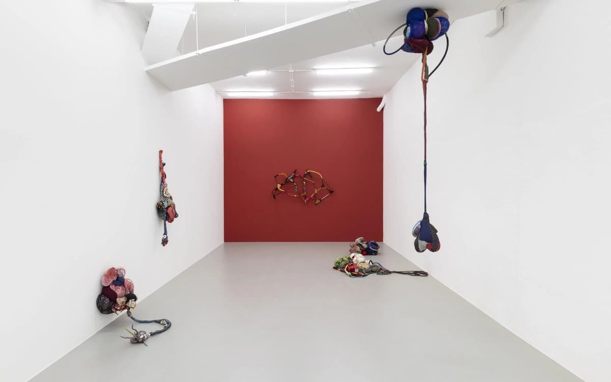 Cœur sauvage. Sonia Gomes