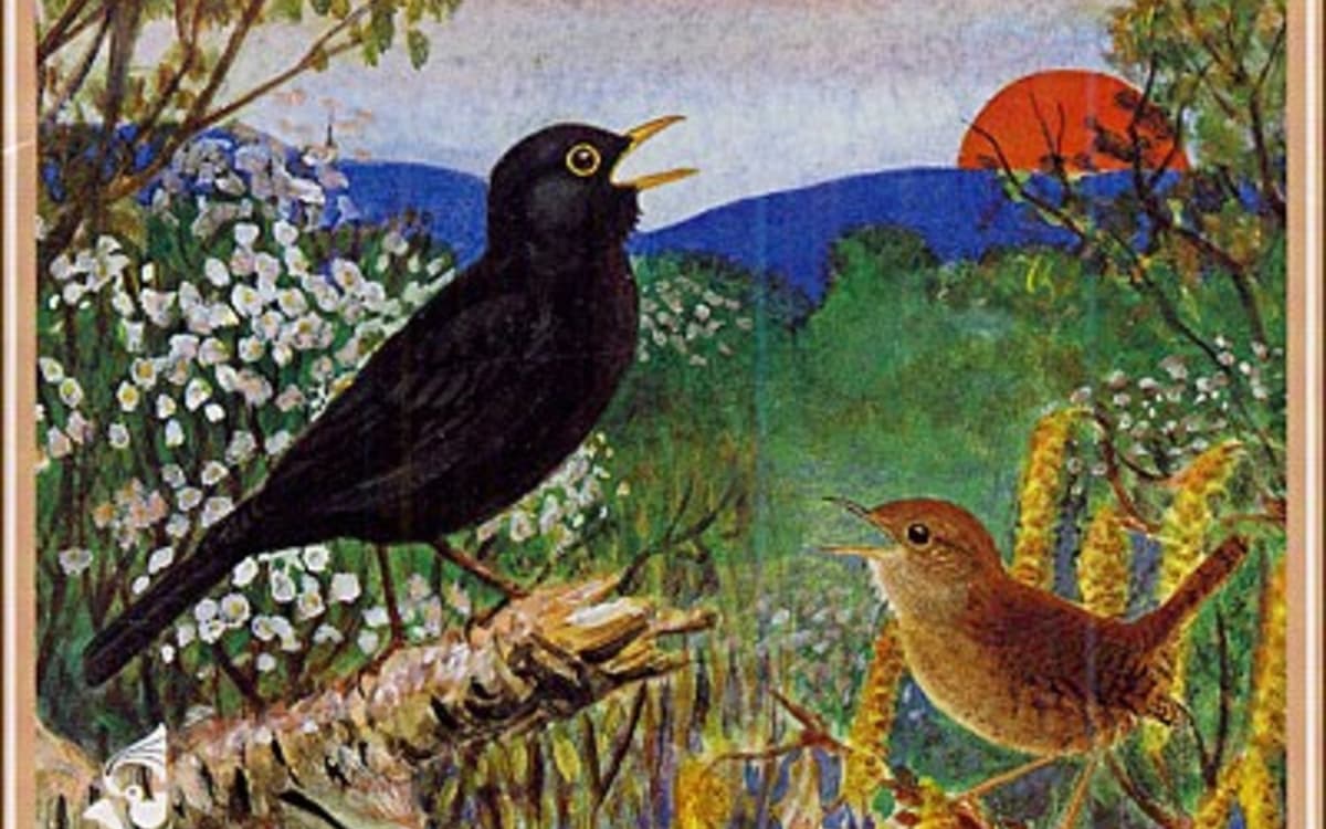 Le Grand bain : le réveil des oiseaux en Bresse