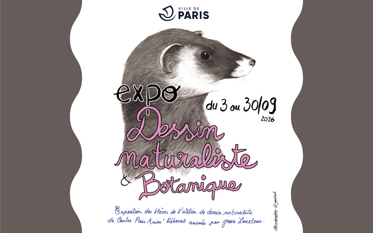 Exposition : Dessin naturaliste et botanique