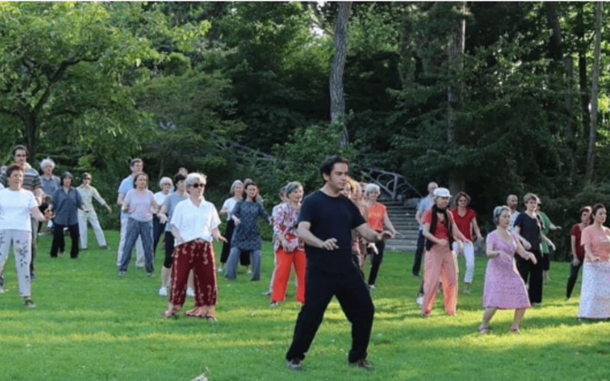 Venez découvrir le qi gong et le taïchi corps vivant corps conscient