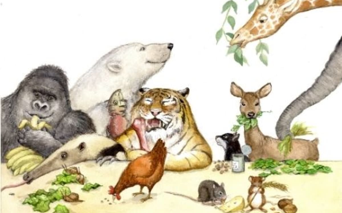 "Bon appétit les animaux !" un album des éditions du Ricochet