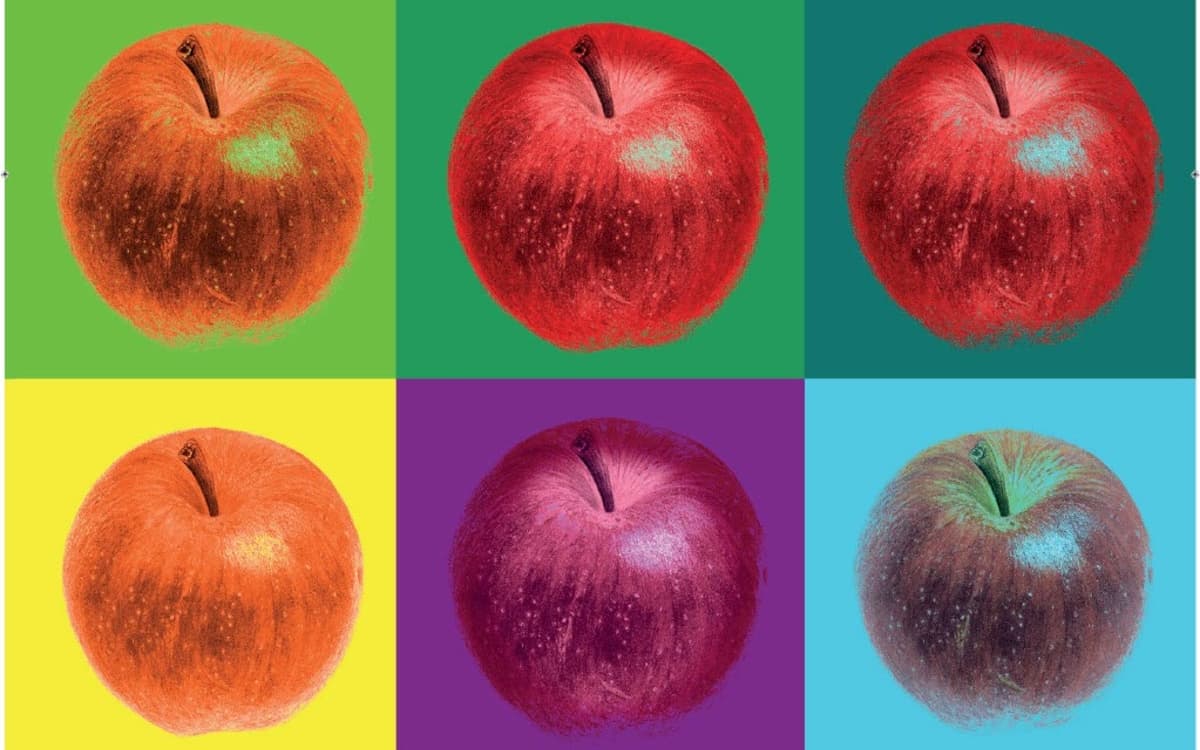 Exposition Pompompom Pommes !