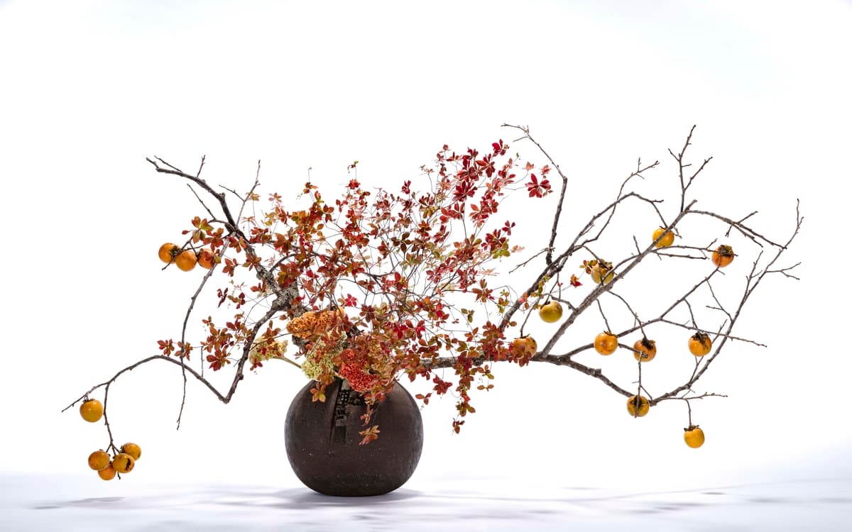 Projection "Dans une composition, une fleur est une personne"