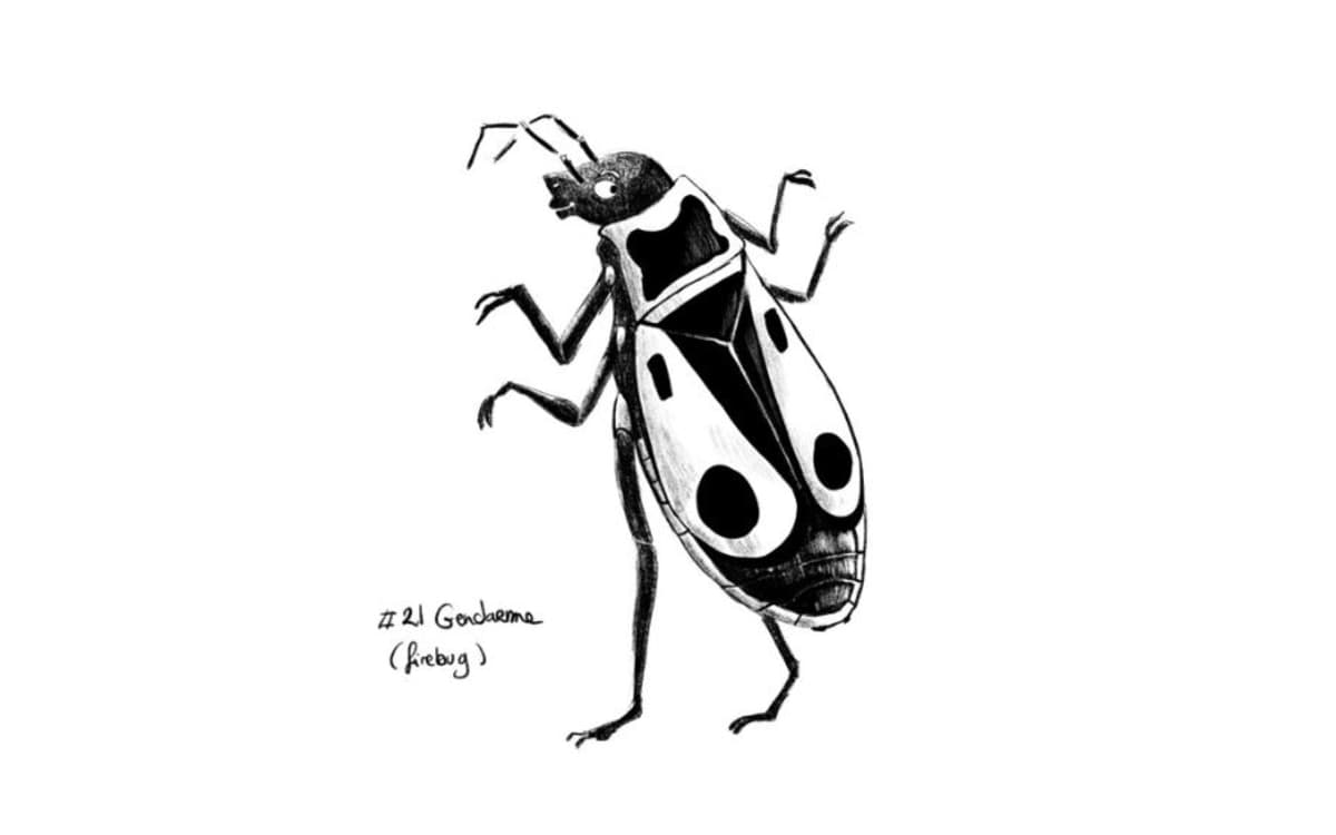 Atelier d'illustration avec Kei