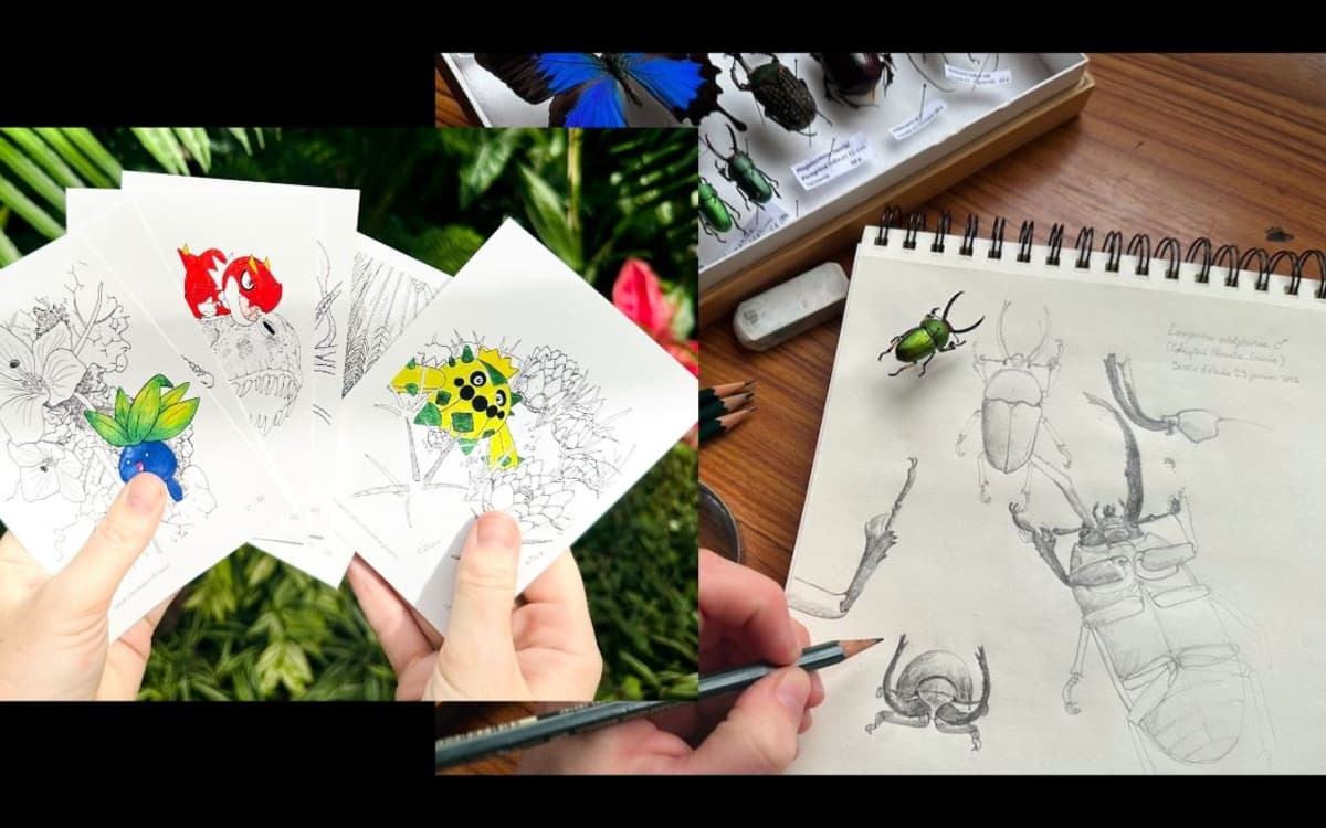 Pokémon et Biodiversité