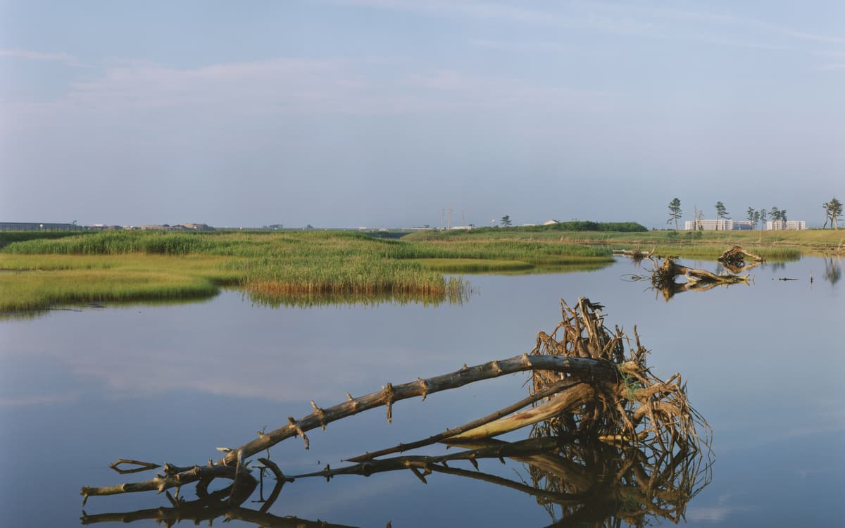 Conférence « Tsunami Trees:Naoya Hatakayema : Après la catastrophe »
