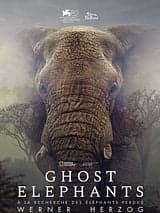 Ghost Elephants